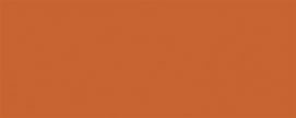 016 Rust Orange