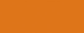 604 Burnt Orange